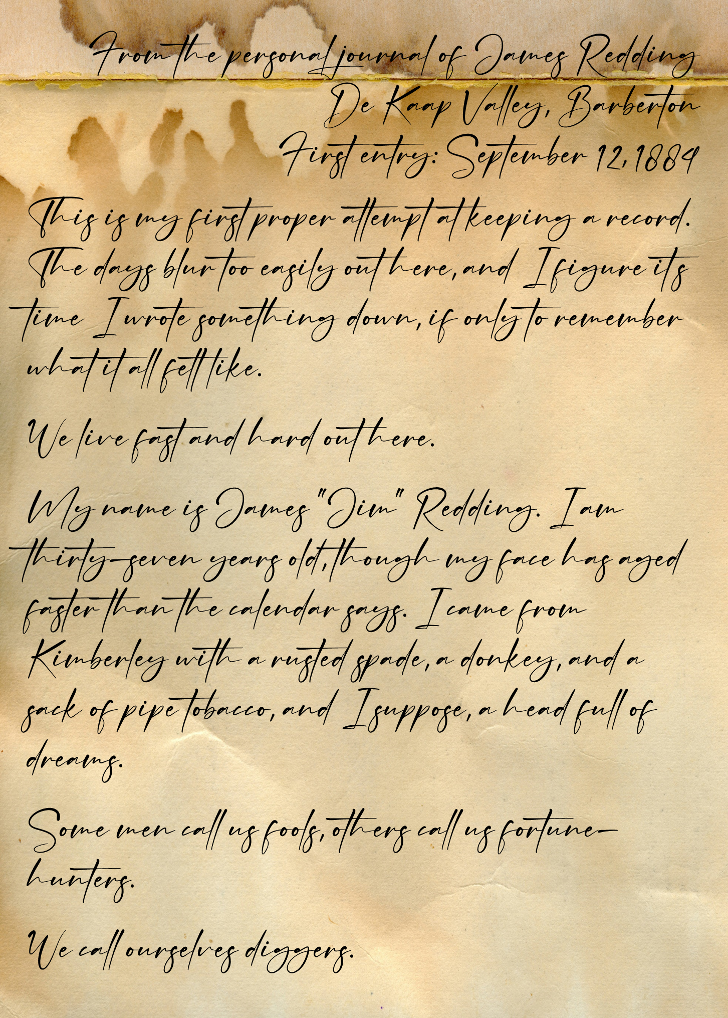 Barberton, 1884: The journal of a gold digger